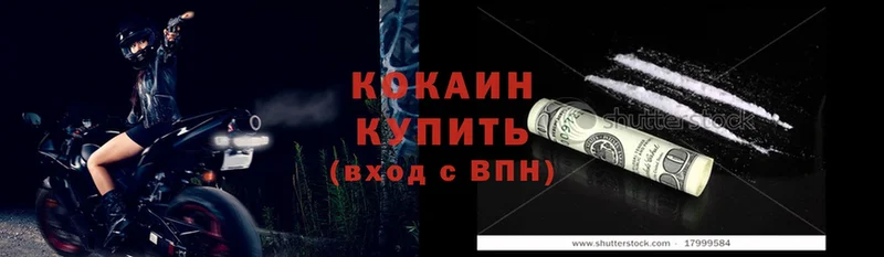 blacksprut как зайти  Горячий Ключ  Cocaine Fish Scale 